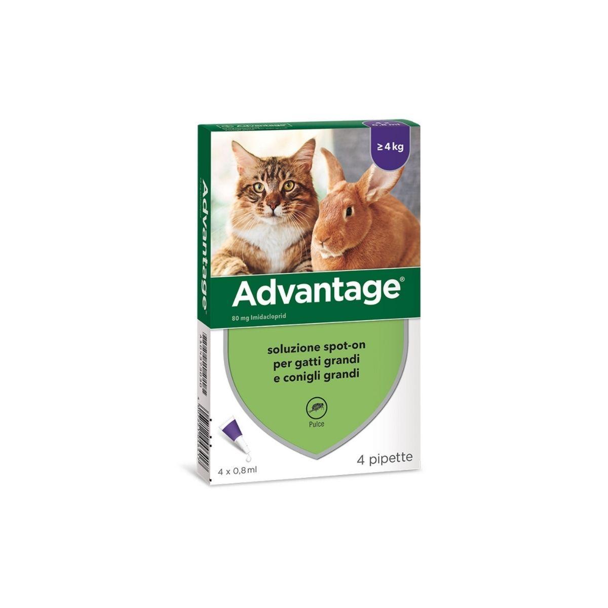 pipette-antiparassitarie-advantage-gatti-e-conigli-sopra-4kg-4-pz