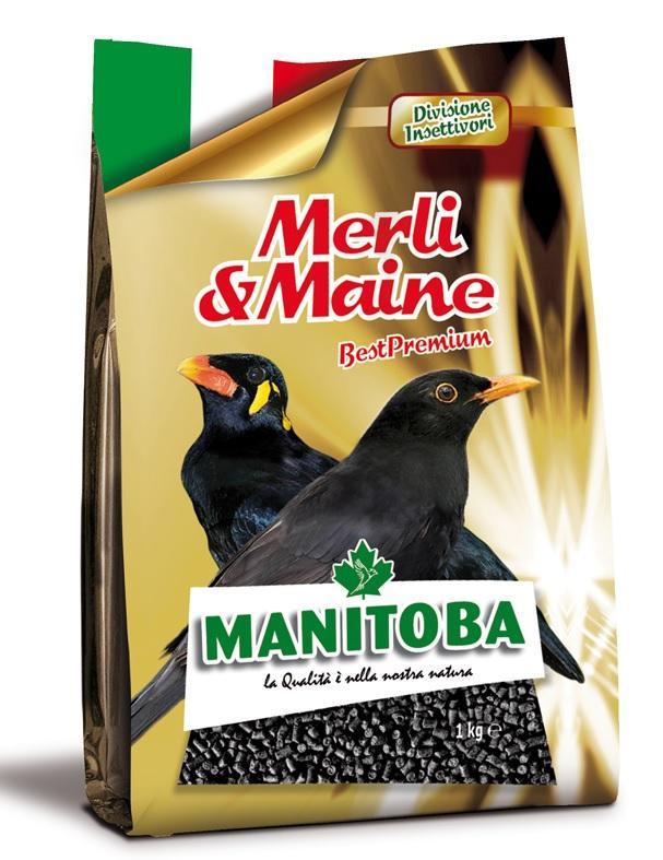 mangime-merli-e-maine-manitoba-1kg