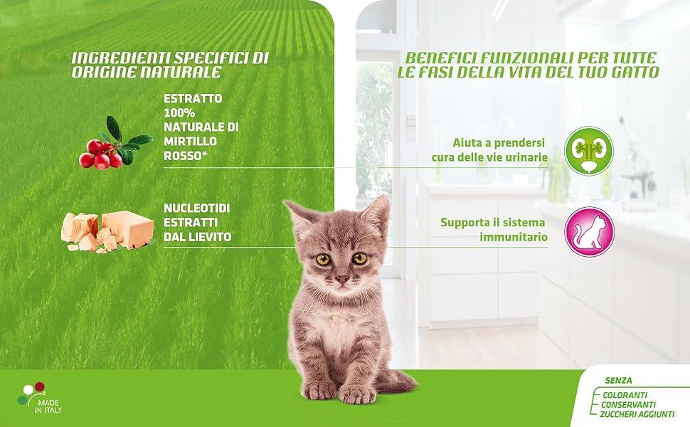 crocchette-gatto-natural-trainer-kitten-1,5kg