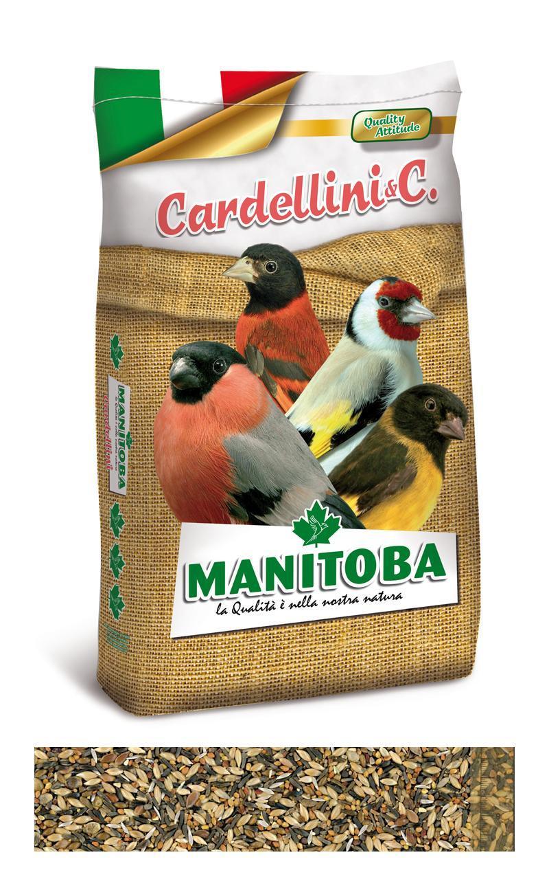 miscuglio-cardellino-manitoba-20kg