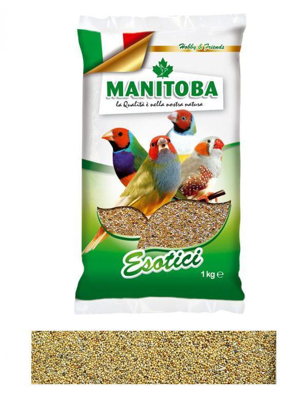 mangime-esotici-manitoba-1kg