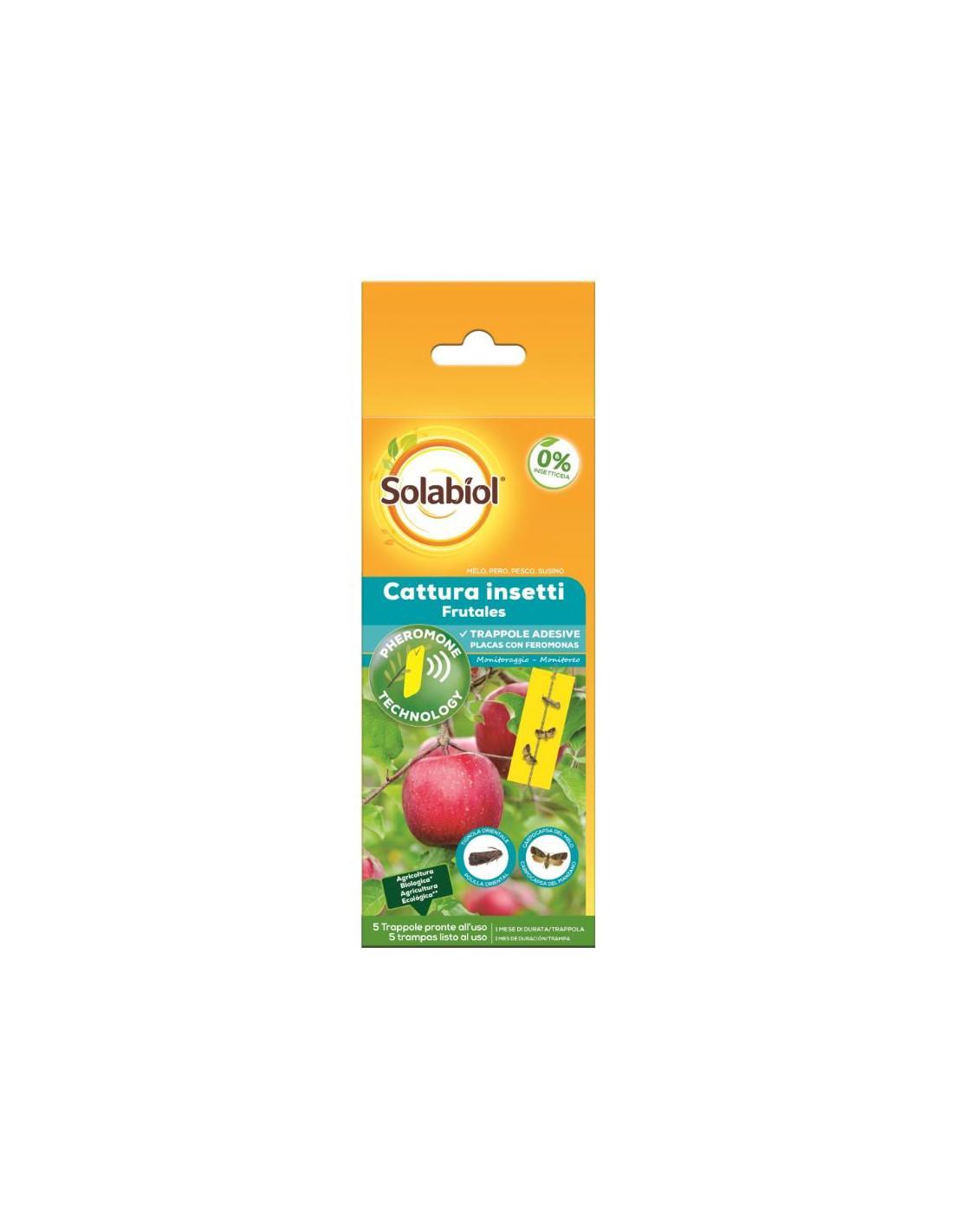 solabiol-cattura-insetti-frutta