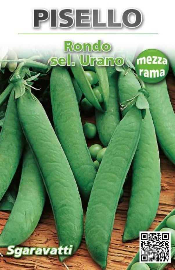 piselli-rondo-sel.-urano-mezza-rama-250gr