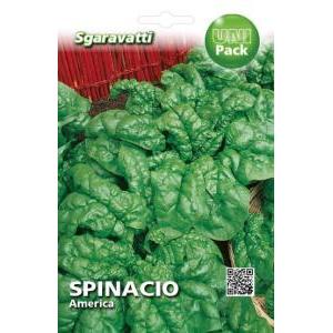 Spinacio america 100 gr