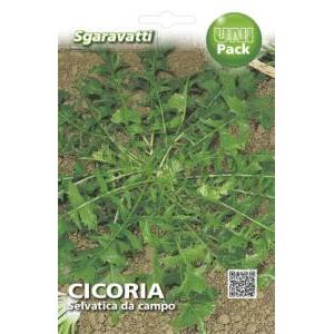 Cicoria selvatica da campo uni pack