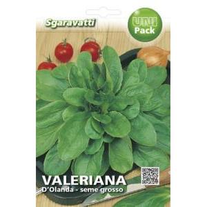 Valeriana d'olanda a seme grosso unipack