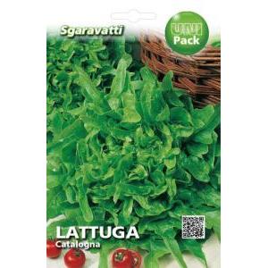 Lattuga catalogna uni pack