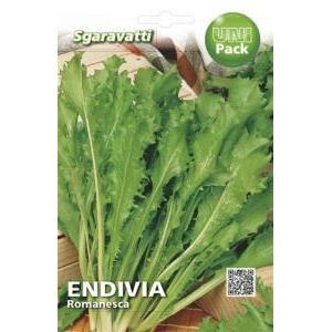 Endivia riccia romanesca da taglio unipack