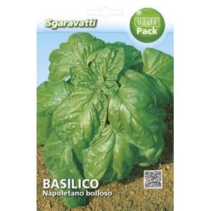 Basilico napoletano bolloso unipack