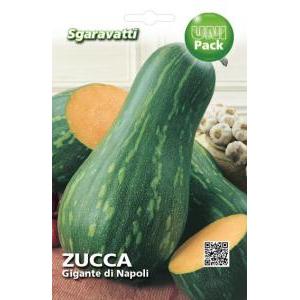 Zucca gigante di napoli uni pack