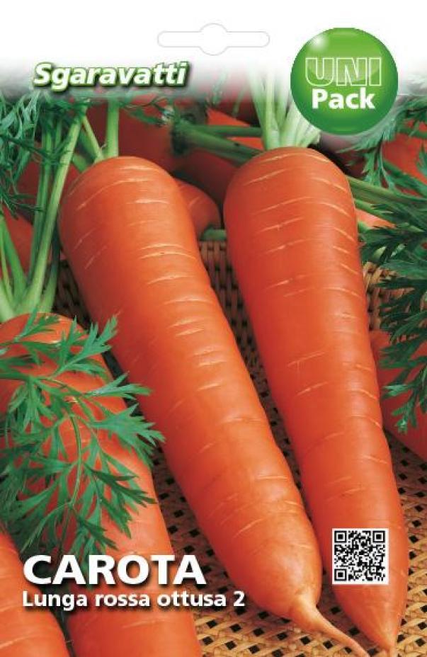 carota-lunga-rossa-ottusa-2-uni-pack