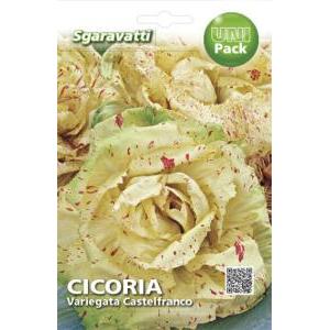 Cicoria variegata castelfranco uni pack