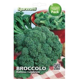 Broccolo ramoso calabrese