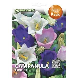 Campanula semplice alpack