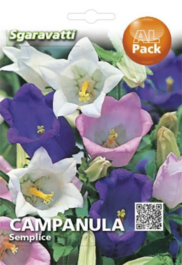 campanula-semplice-alpack