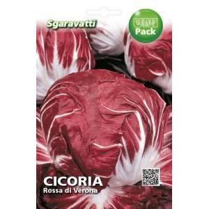 Cicoria rossa di verona al pack