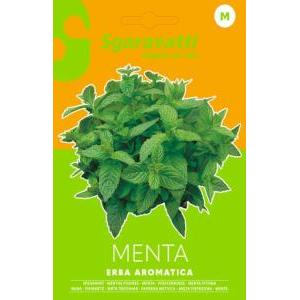 Menta erba aromatica alpack