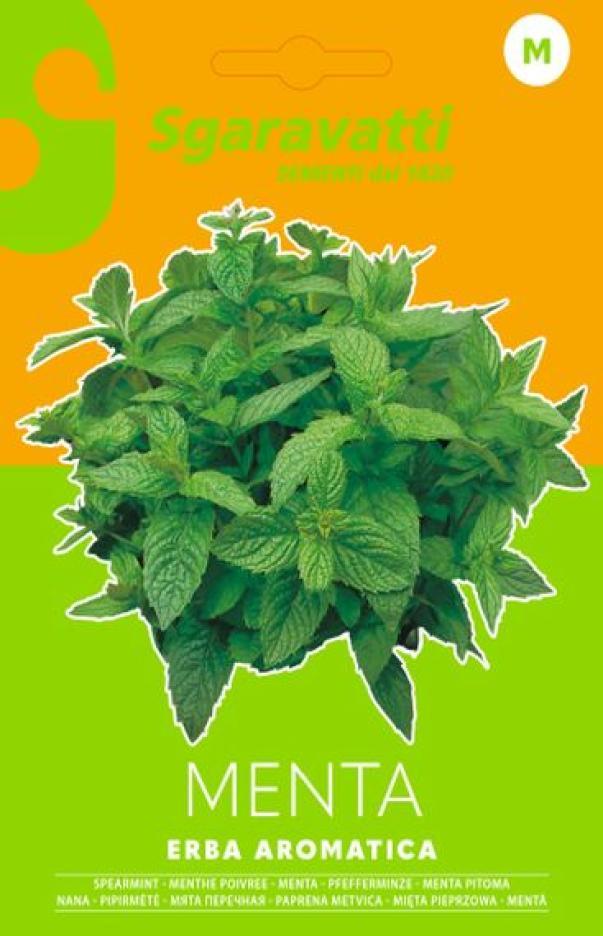 menta-erba-aromatica-alpack