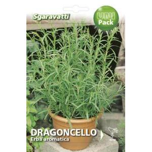 Dragoncello erba aromatica