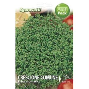 Crescione comune erba aromatica