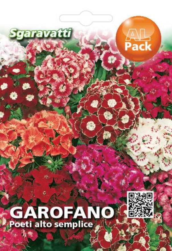 garofano-poeti-alto-semplice-alpack