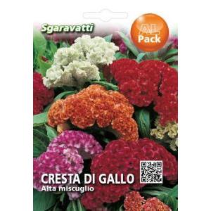 Cresta di gallo alta miscuglio alpack