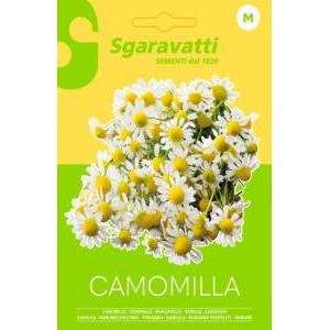 Camomilla alpack