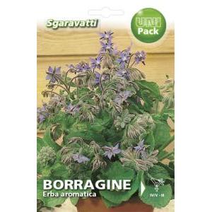 Borragine erba aromatica alpack