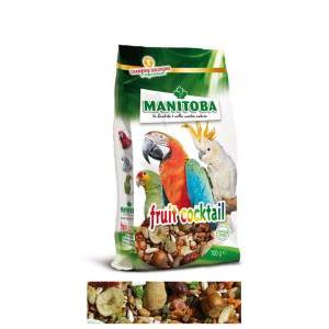 Mangime fruit cocktail  700g