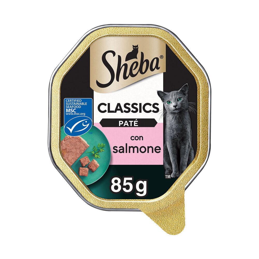 sheba-classics-cat-adult-patu00e8-con-salmone-85gr