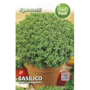 Basilico greco compatto unipack