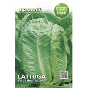 Lattuga verde degli ortolani uni pack