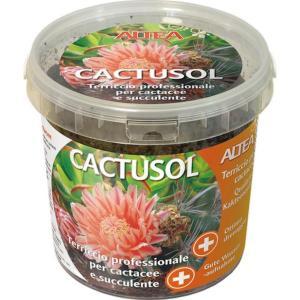 Cactusol terriccio piante grasse 2,5 lt