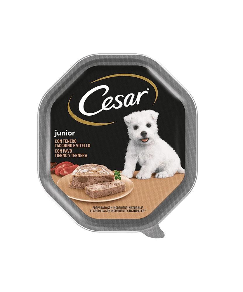 cesar-junior-vitello-e-tacchino-150-gr