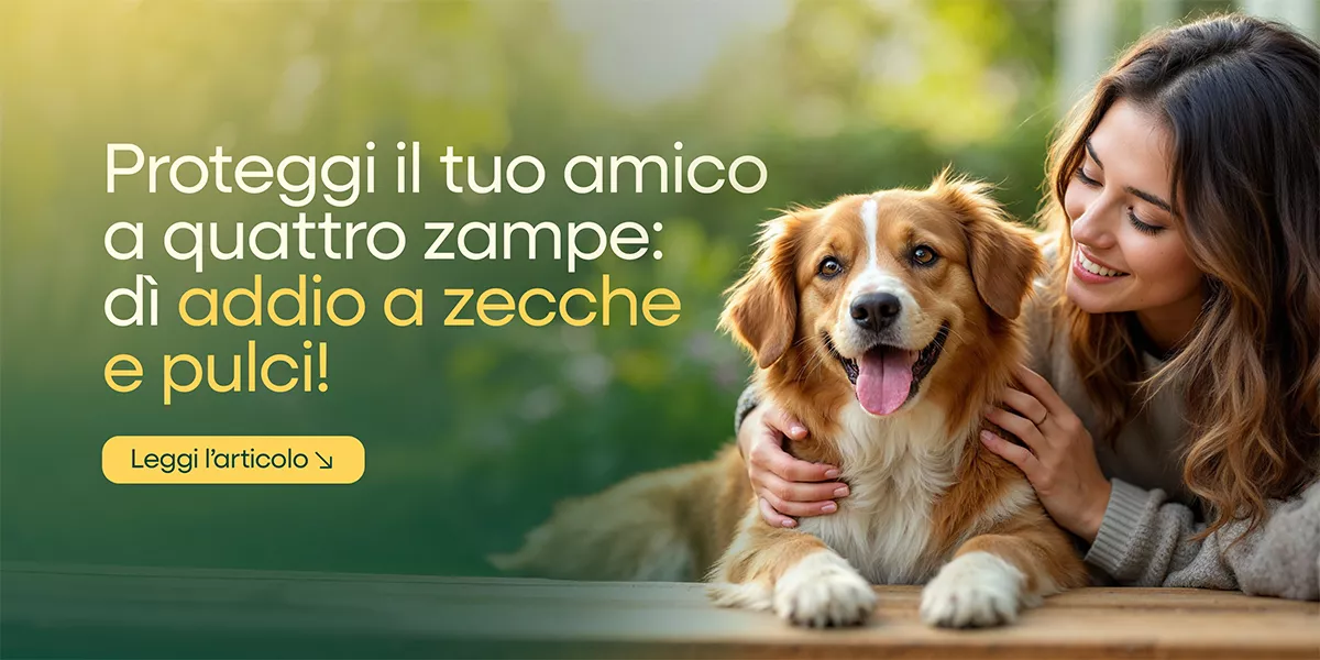 Antiparassitari per animali domestici, protezione efficace contro pulci e zecche